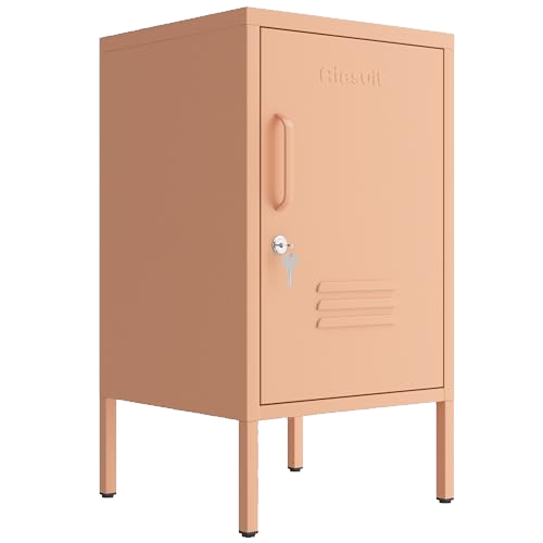 Single door End Table 2 Tier Narrow Side Table with Metal Frame Multifunctional Home Table Easy to Assemble Adjustable partitions Single Door Coffee Table Pink Size: 27.55”H X 13.78”W X 14.96”D